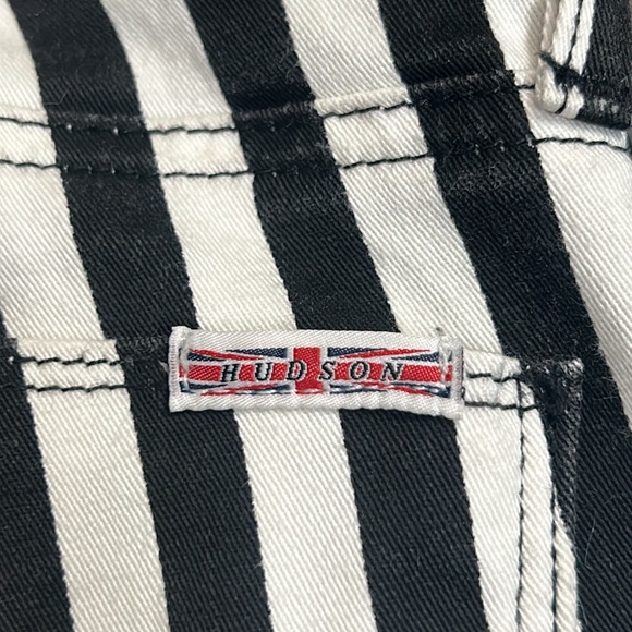 Hudson Krista super skinny Beetlejuice pants - Picture 9 of 17